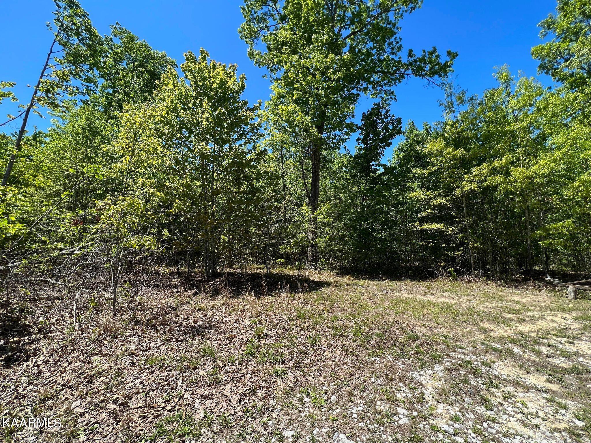 Lot F McCartt Ridge Road Sunbright, TN 37872 - Photo 21 of 22 344596670_1275747370013486_8555472512857