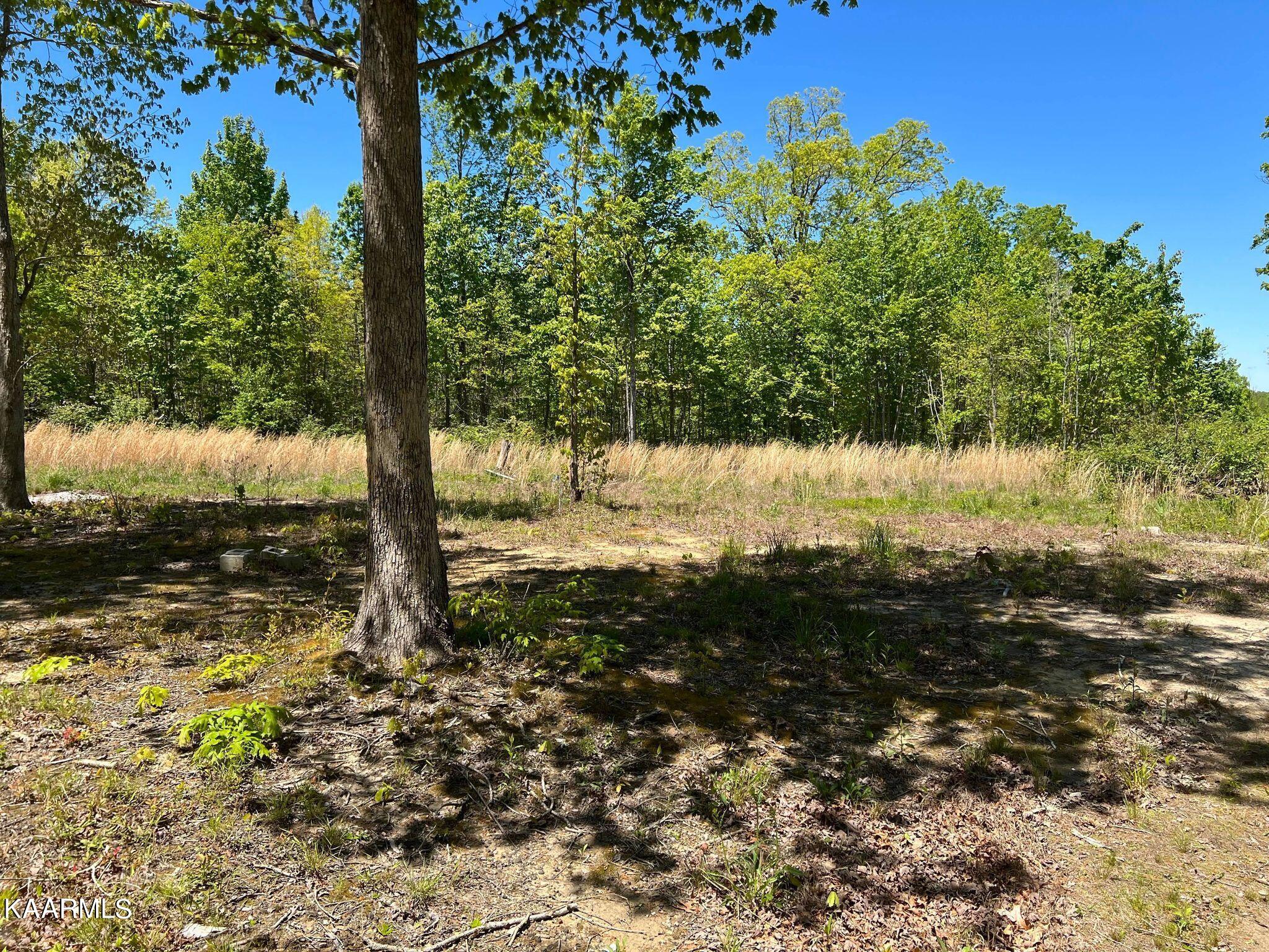 Lot F McCartt Ridge Road Sunbright, TN 37872 - Photo 8 of 22 342323517_255682386825277_51983385158433