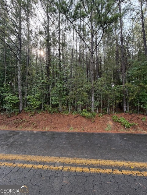Ervin Coker Rd Ervin Coker Road Rome, GA 30161 - Photo 1 of 2