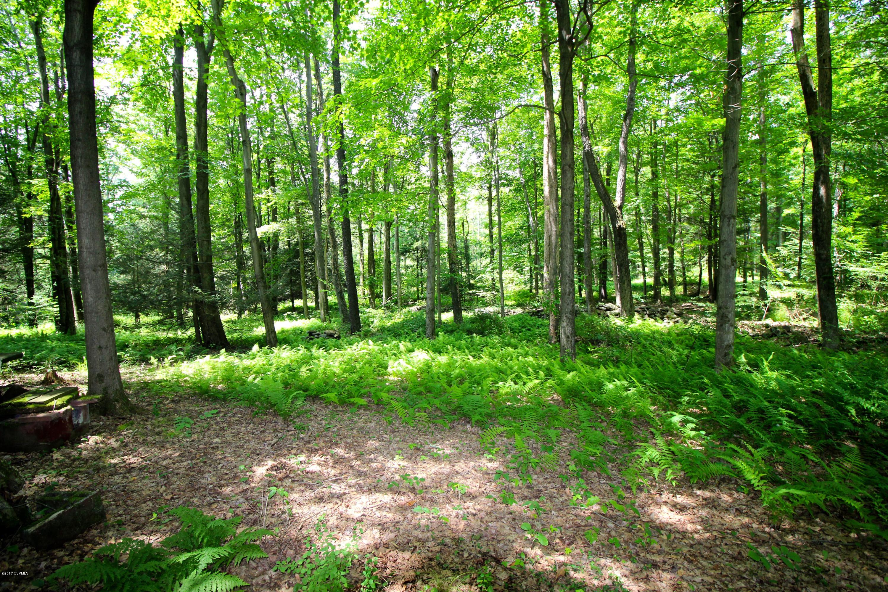 169 Pleasant View Road Unityville, PA 17774 - Photo 1 of 15