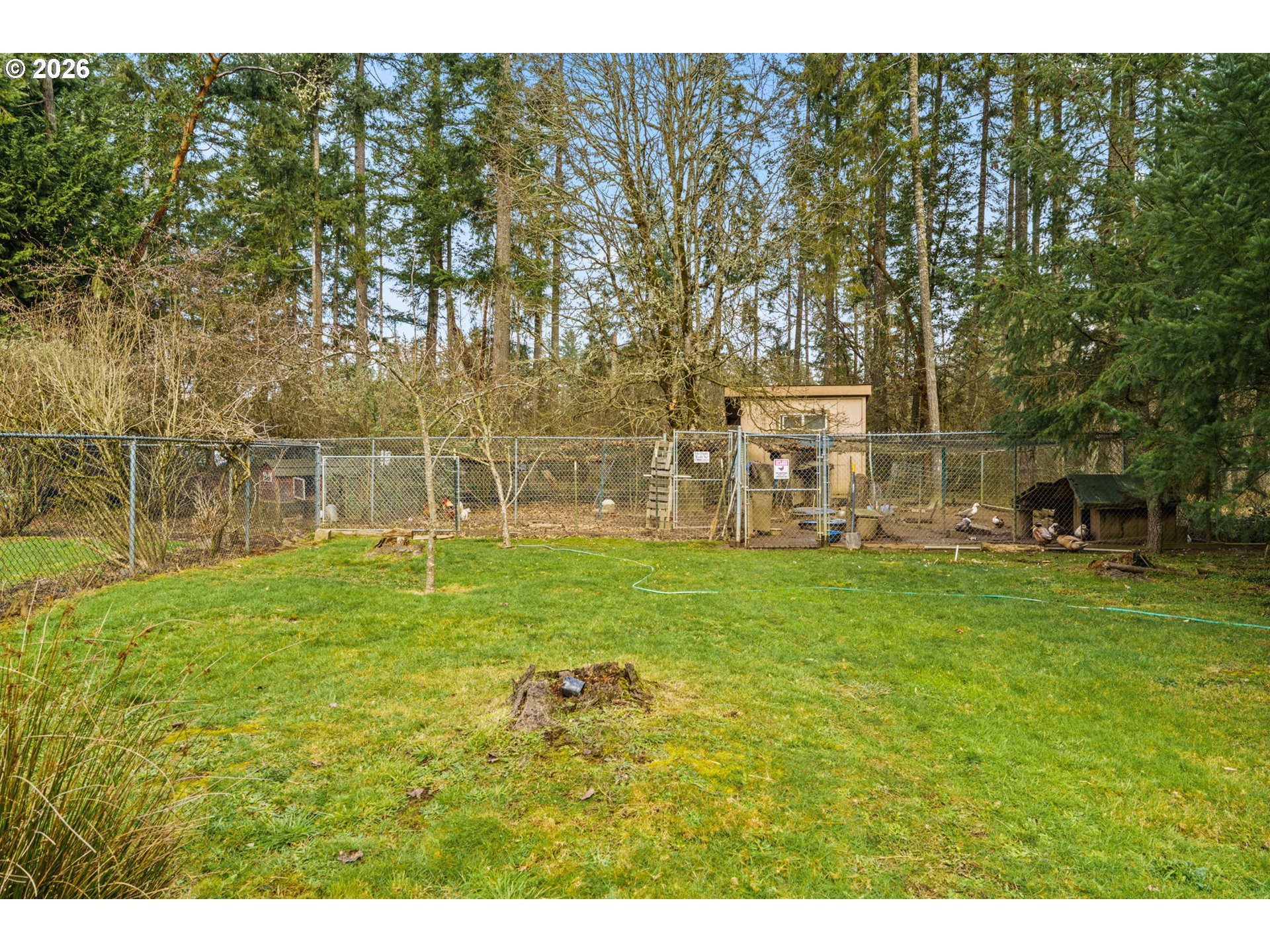 88952 Conrad Road Veneta, OR 97487 - Photo 29 of 43