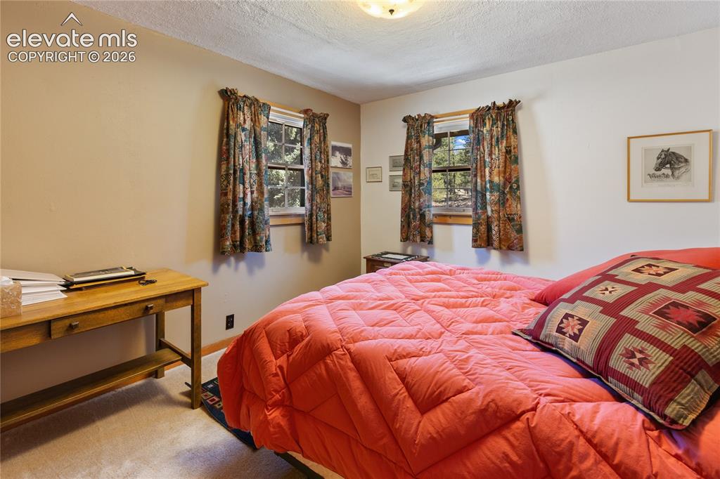 146 Toms Ranch Rd Lake Lake George, CO 80827 - Photo 23 of 30