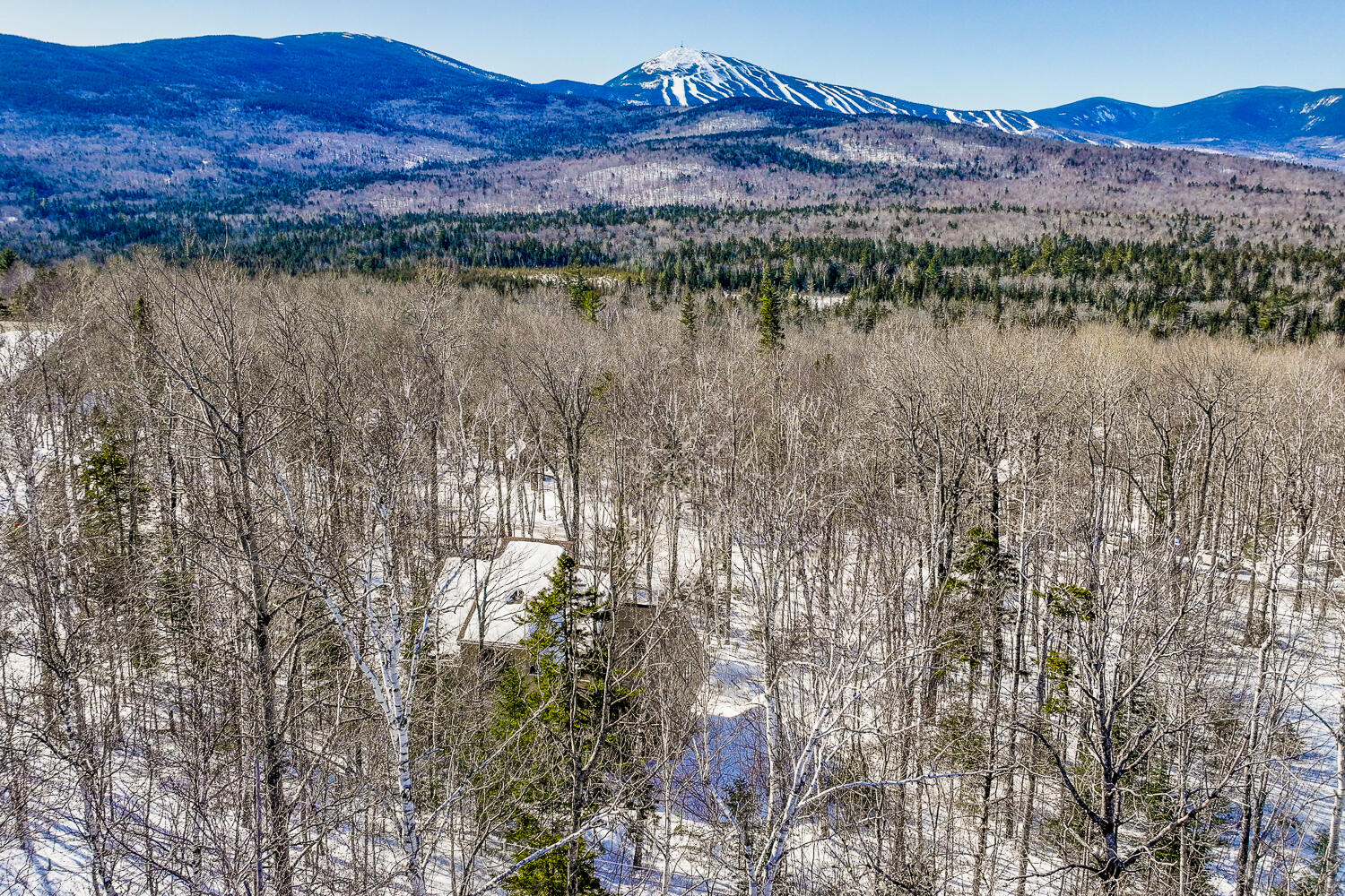 2011 Ridgeview Road Carrabassett Valley, ME 04947 - Photo 3 of 31 2011 Ridge View Road 03-(ZF-3387-17590-1