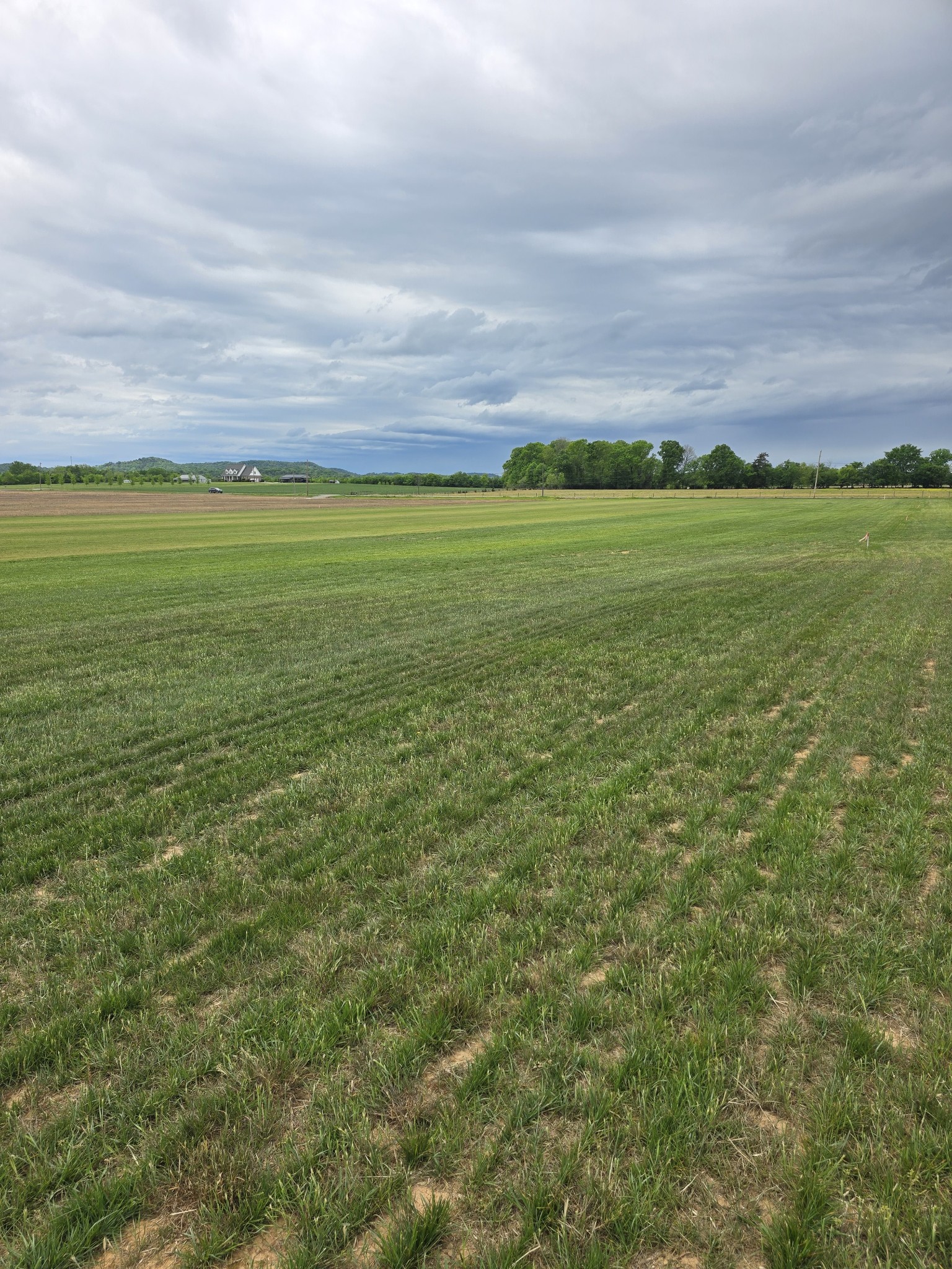 0 Shoemaker Road Eagleville, TN 37060 - Photo 11 of 17 a view of yard with ocean view