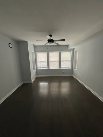 $1,490 | 7240 South Cornell Avenue, Unit 1, Chicago, IL 60649