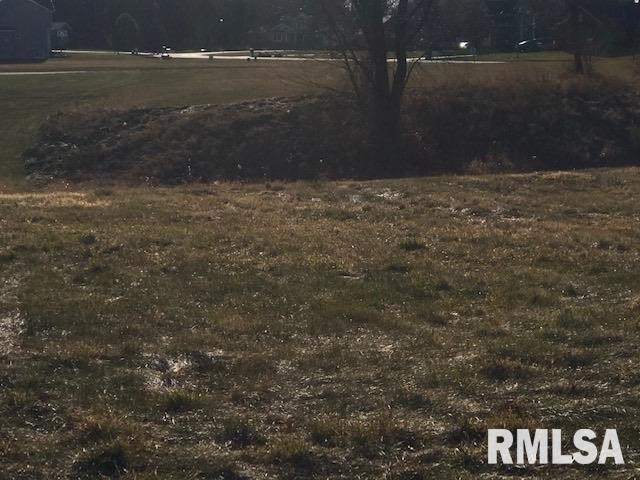 2101 Timber Ridge Drive Port Byron, IL 61275 - Photo 2 of 2 Gallery Image 2