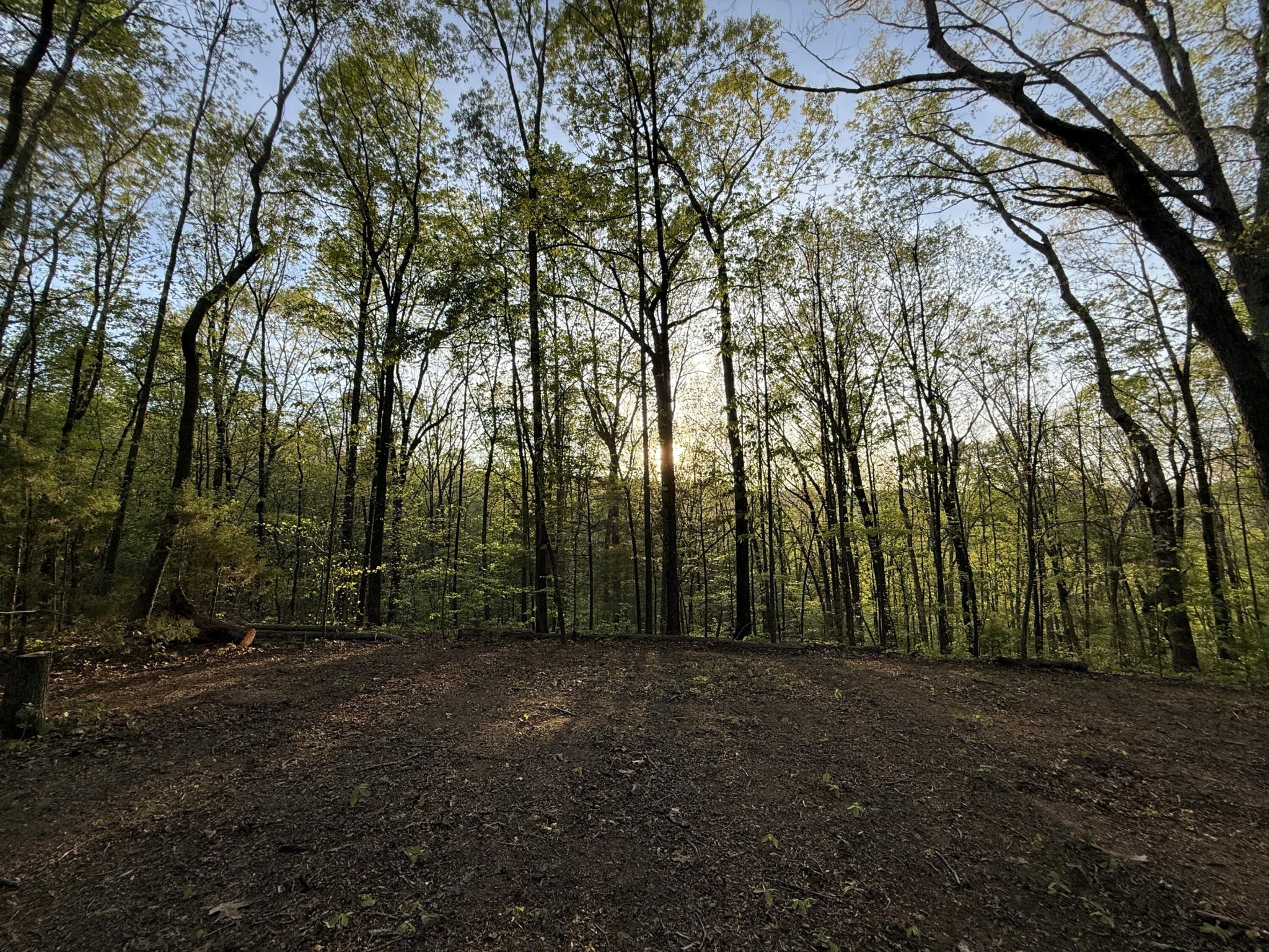 0 Sloans Gap Road Ocoee, TN 37361 - Photo 1 of 12