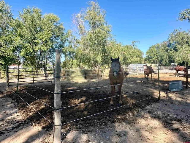 a view of a garage with storage