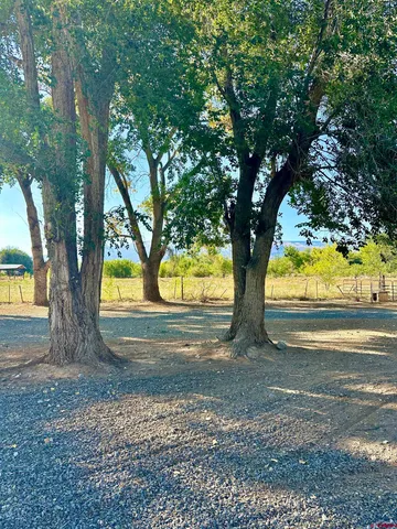 a view of road with trees