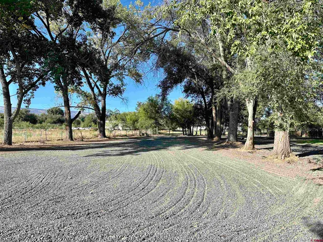 a view of a trees with a yard