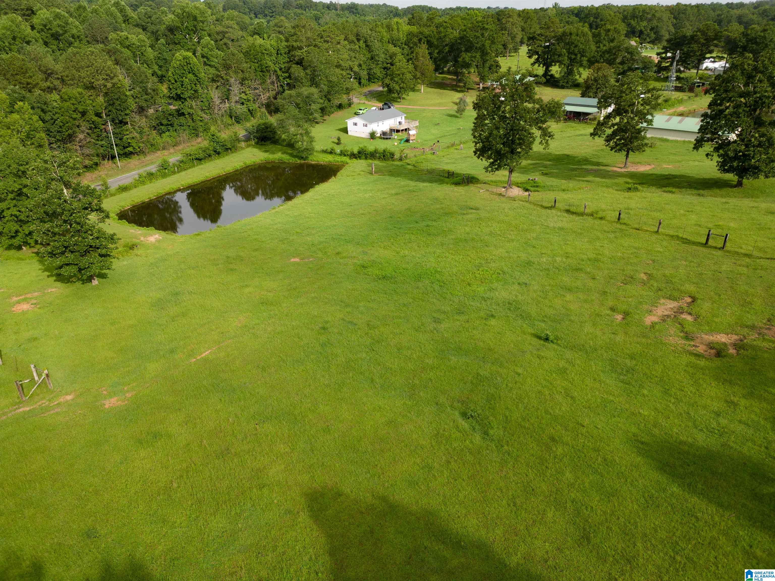 5101 Reeder Road Dora, AL 35062 - Photo 8 of 10