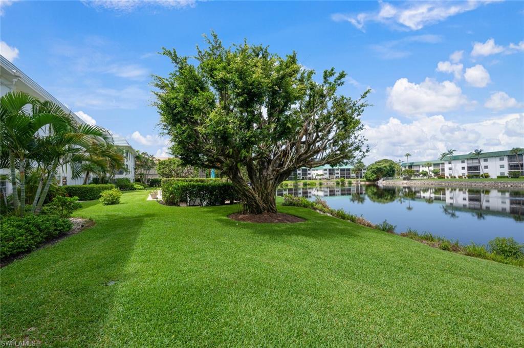 3055 Riviera Drive, Unit 306 Naples, FL 34103 - Photo 16 of 22 View of green lawn with a water view