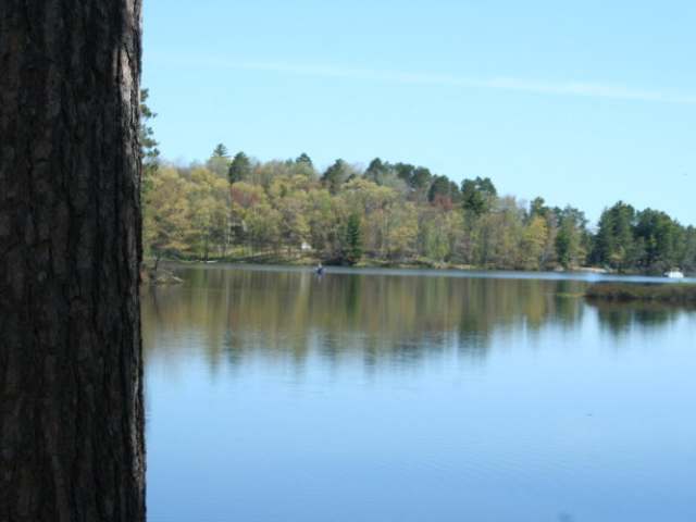 Lot 2 Hwy 47 Rhinelander Wi 54501 Rhinelander, WI 54501 - Photo 4 of 9 Gallery Image 4