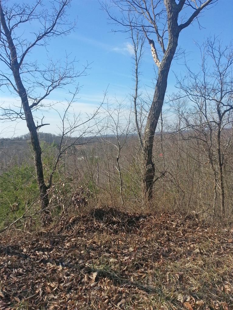 0 Lum Strunk Road Strunk, KY 42649 - Photo 3 of 8 Additional Photo