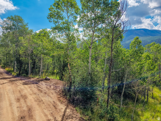 5426 East Colter Road, Unit 33 Kamas, UT 84036 - Photo 2 of 45 Wooded landscape featuring a natural dirt road, mature trees, dense foliage, and distant mountains