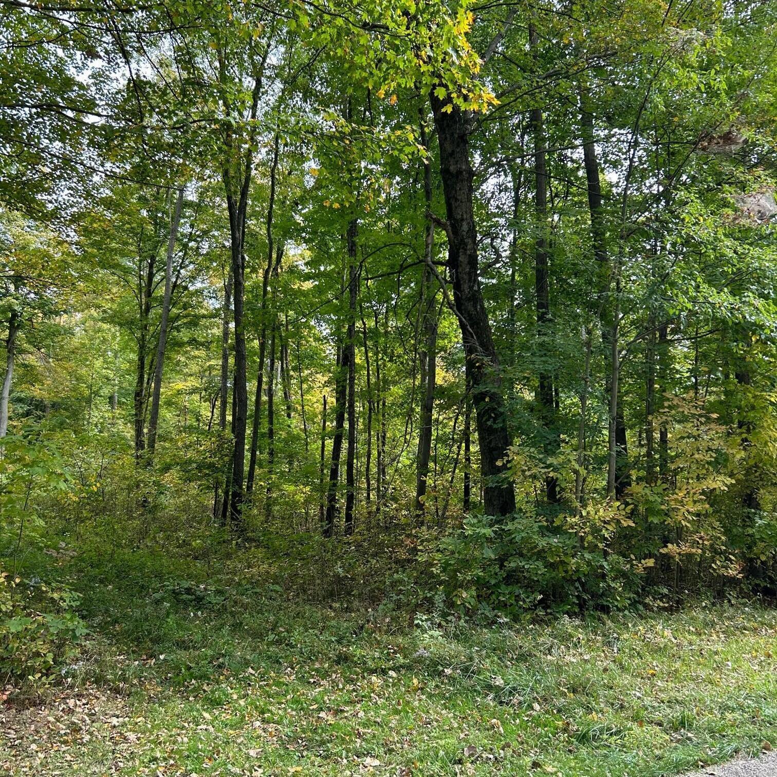 0 Ewart Road Mount Vernon, OH 43050 - Photo 13 of 15 photo12