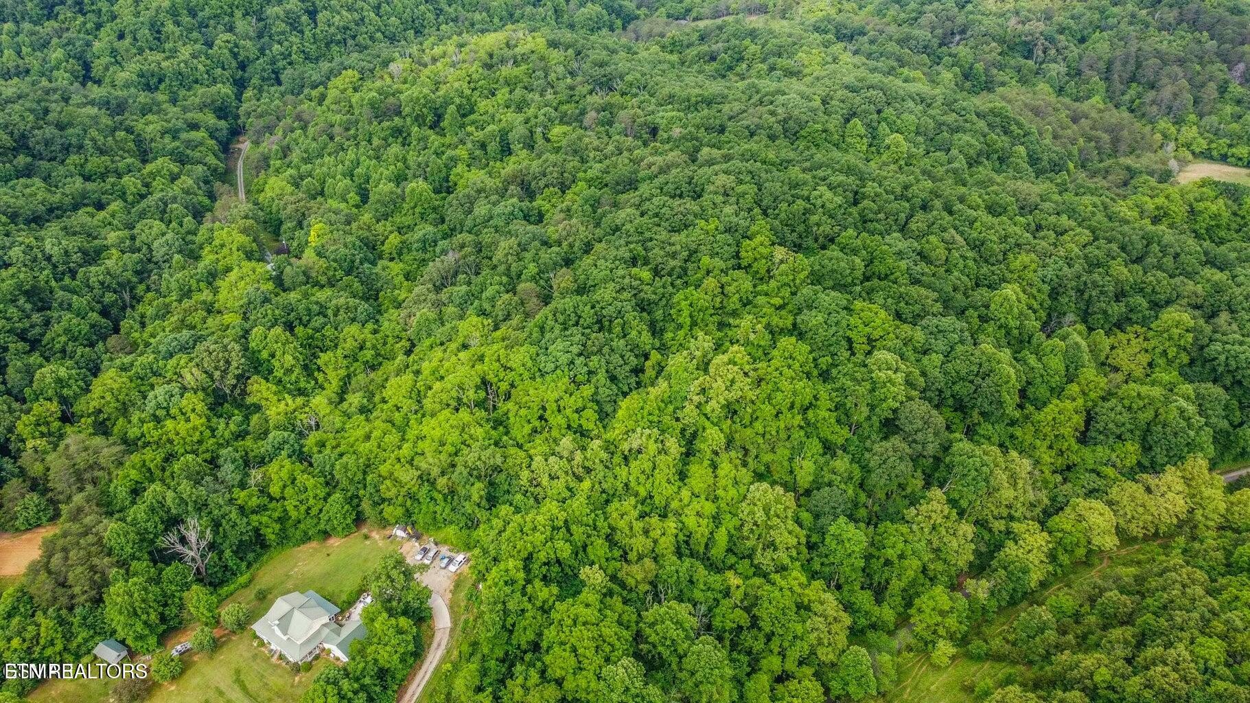 0 Looney Road Parrottsville, TN 37843 - Photo 6 of 7 a backyard of a house with lots of green space