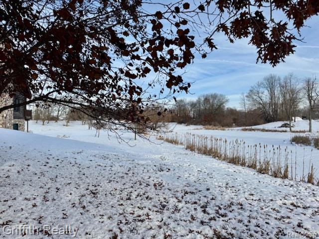 5748 West Coon Lake Road Howell, MI 48843 - Photo 66 of 74
