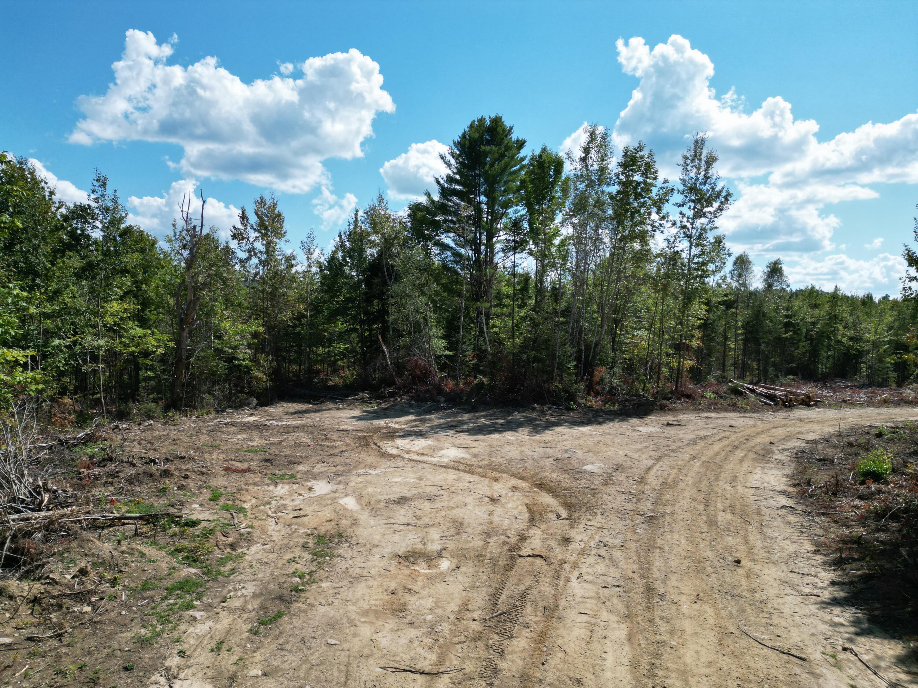 Off Getchell Mountain Road Carroll Plt, ME 04487 - Photo 14 of 23 DJI_0465
