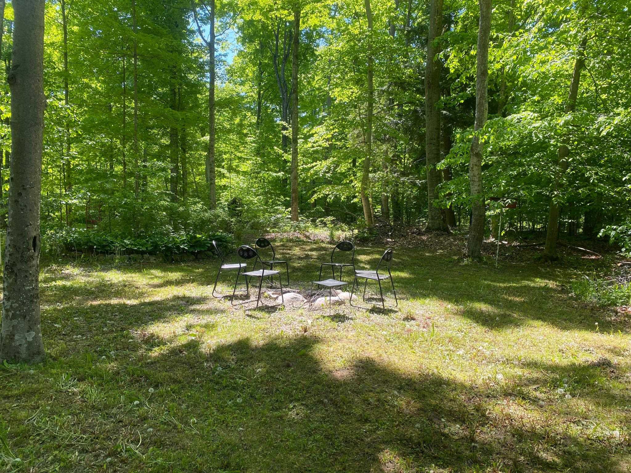 2552 East Birch Court Cedar, MI 49621 - Photo 6 of 48