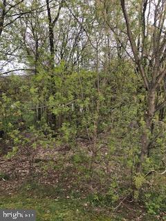 0 Kutztown Road Pennsburg, PA 18073 - Photo 1 of 1 Gallery Image 1