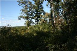0 Company Farm Road Tracy City, TN 37387 - Photo 1 of 10 Gallery Image 1