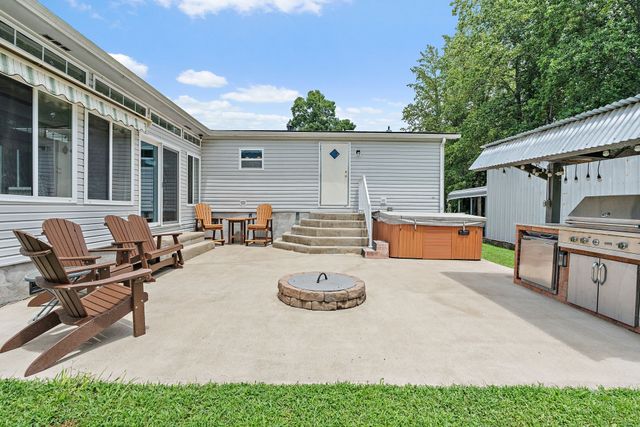a view of a field with plants and trees in the background