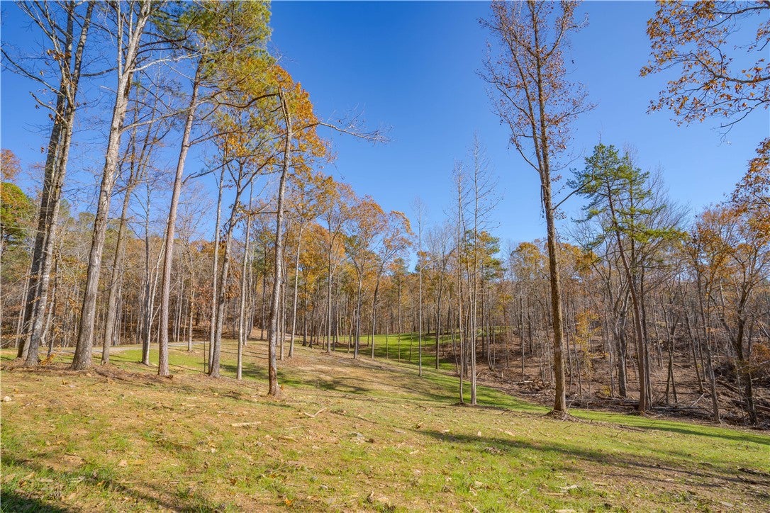 4245 Union T Road Talladega, AL 35160 - Photo 39 of 49 Gallery Image 39