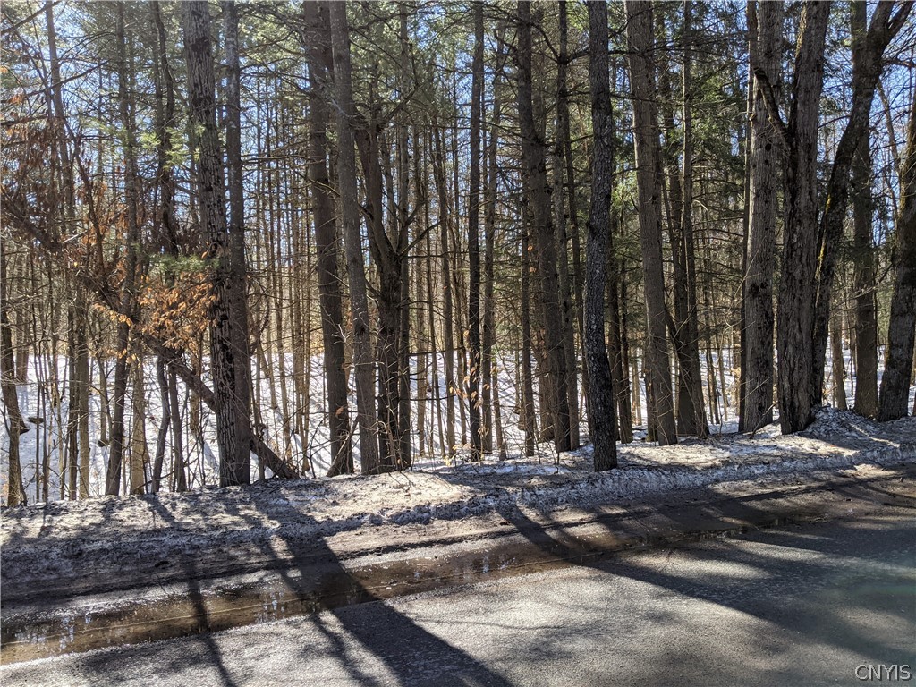 111 Partridgeville Road Brantingham, NY 13312 - Photo 1 of 1