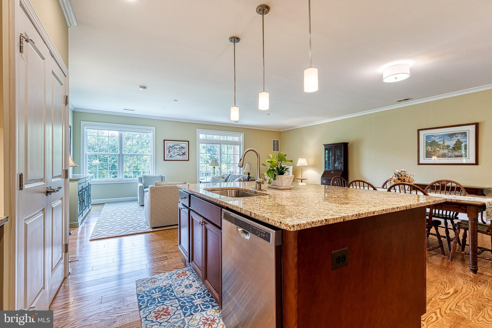 10530 Resort Road, Unit 104 Ellicott City, MD 21042 - Photo 16 of 49 Gallery Image 16