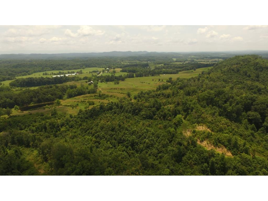 0 Charlie Doty Road Greeneville, TN 37745 - Photo 11 of 36 Photo 11