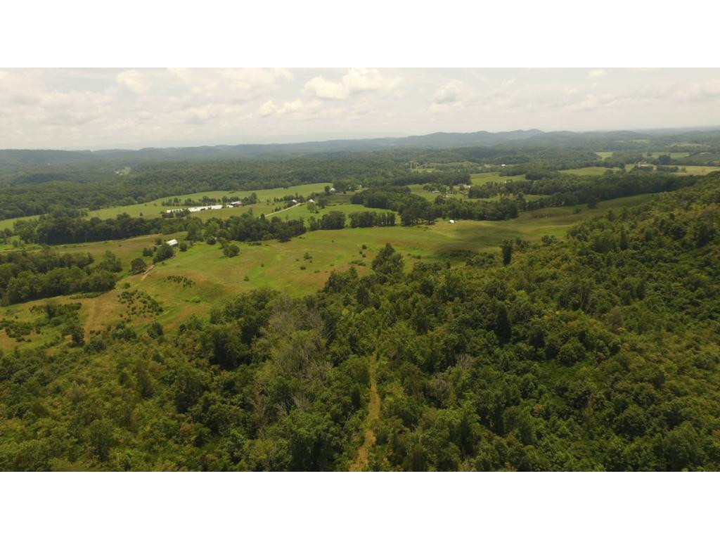 0 Charlie Doty Road Greeneville, TN 37745 - Photo 12 of 36 Photo 12
