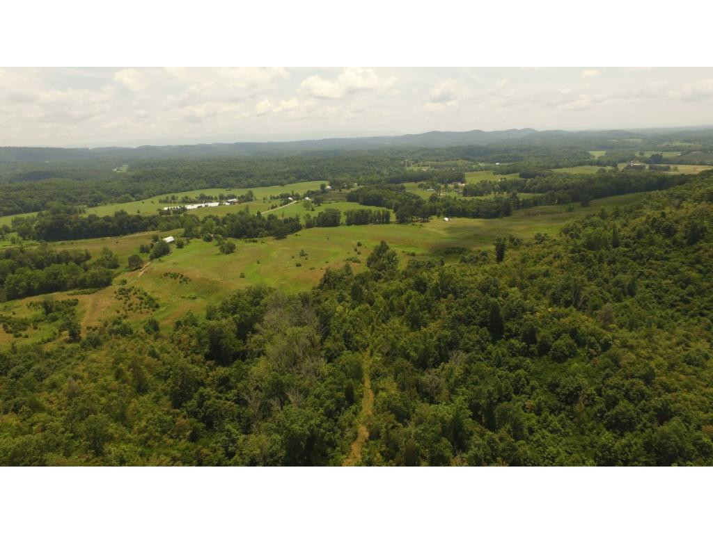 0 Charlie Doty Road Greeneville, TN 37745 - Photo 13 of 36 Photo 13