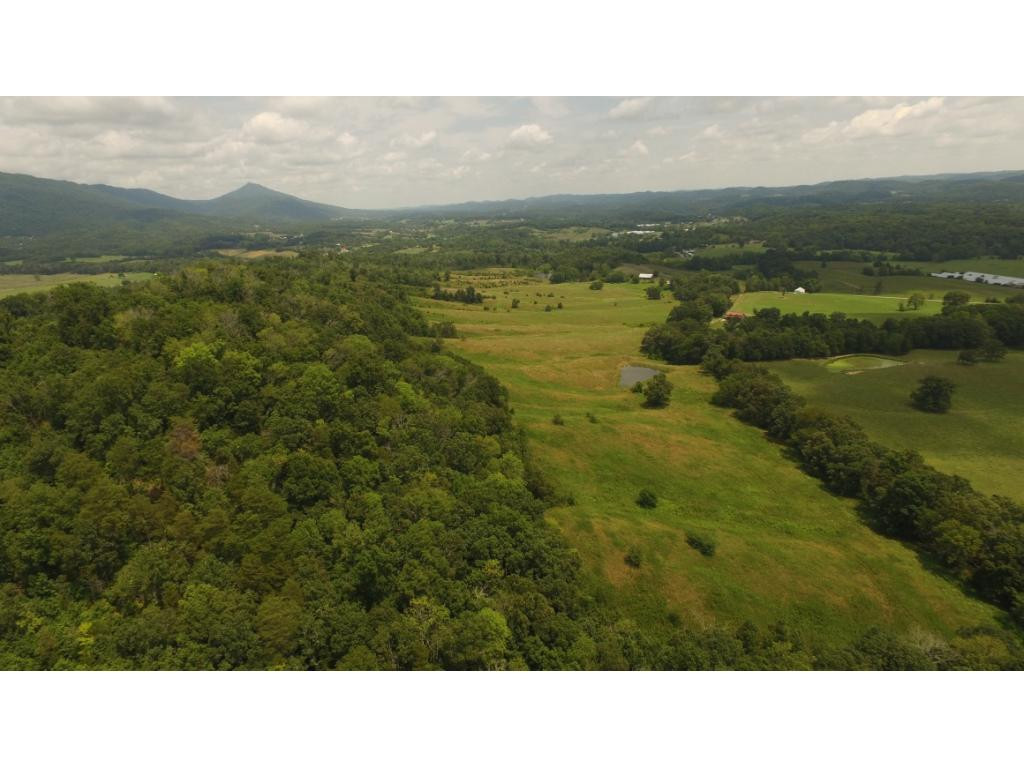 0 Charlie Doty Road Greeneville, TN 37745 - Photo 16 of 36 Photo 16