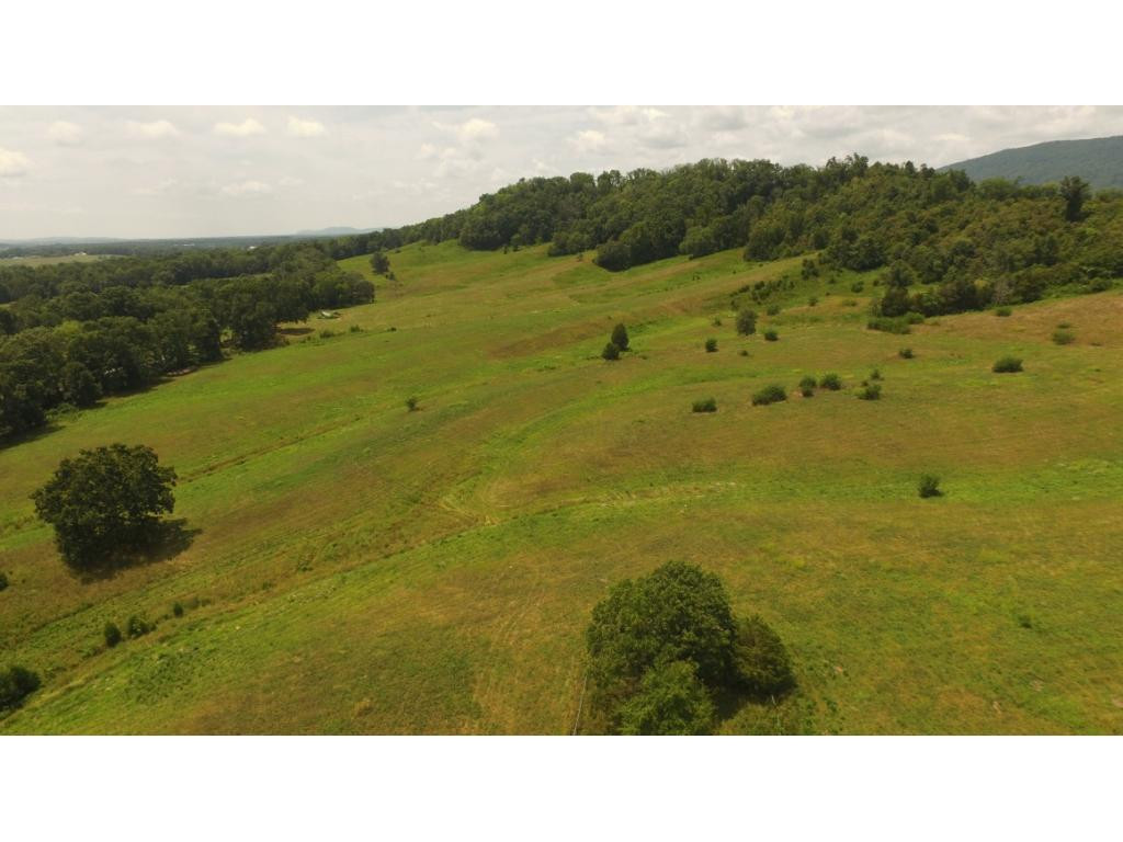 0 Charlie Doty Road Greeneville, TN 37745 - Photo 22 of 36 Photo 22