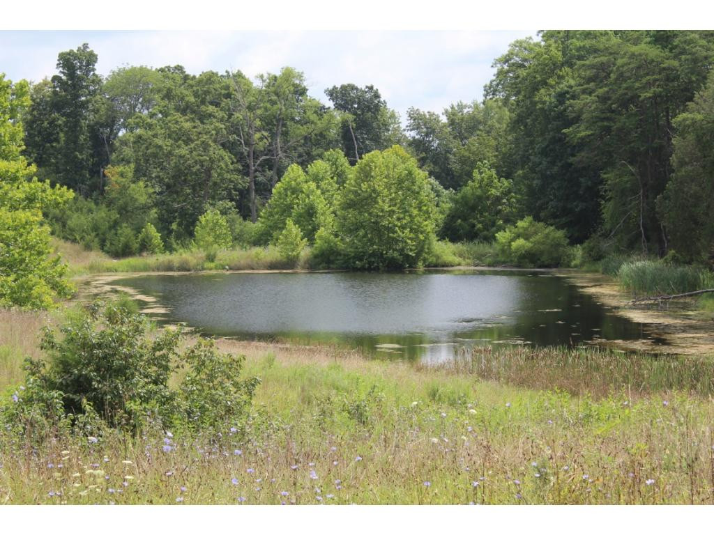 0 Charlie Doty Road Greeneville, TN 37745 - Photo 24 of 36 Photo 24