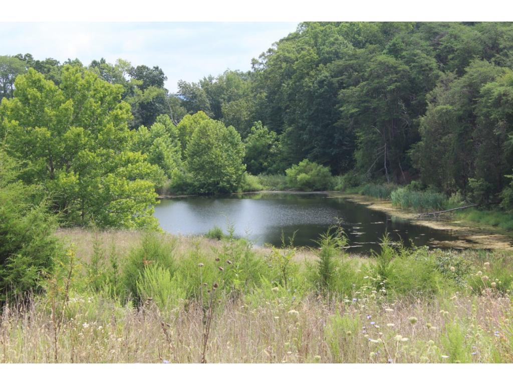 0 Charlie Doty Road Greeneville, TN 37745 - Photo 25 of 36 Photo 25
