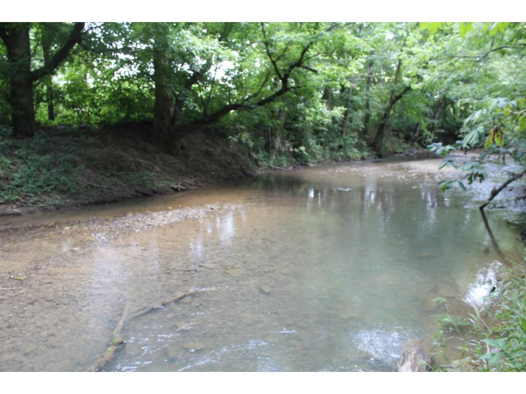 0 Charlie Doty Road Greeneville, TN 37745 - Photo 29 of 36 Photo 29