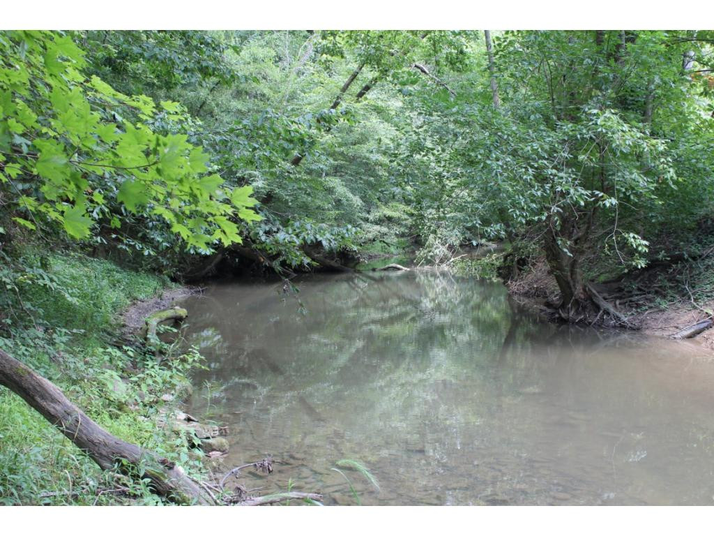 0 Charlie Doty Road Greeneville, TN 37745 - Photo 30 of 36 Photo 30