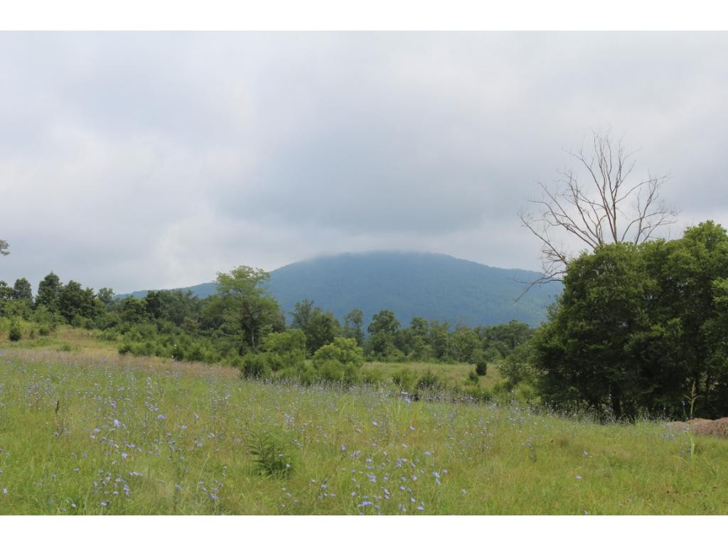 0 Charlie Doty Road Greeneville, TN 37745 - Photo 33 of 36 Photo 33