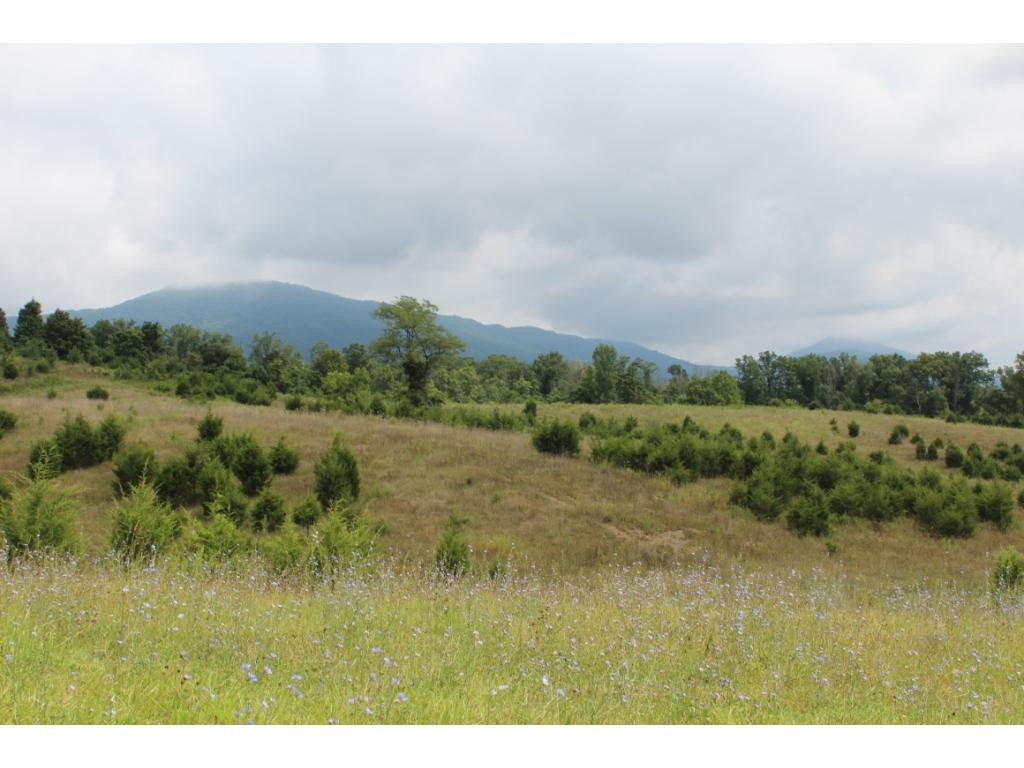0 Charlie Doty Road Greeneville, TN 37745 - Photo 34 of 36 Photo 34