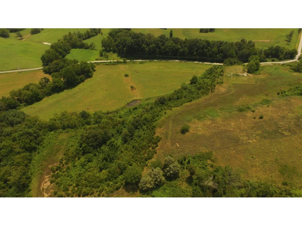 0 Charlie Doty Road Greeneville, TN 37745 - Photo 4 of 36 Photo 4