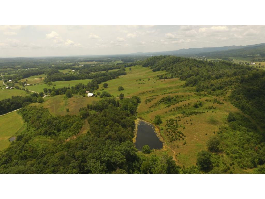 0 Charlie Doty Road Greeneville, TN 37745 - Photo 8 of 36 Photo 8