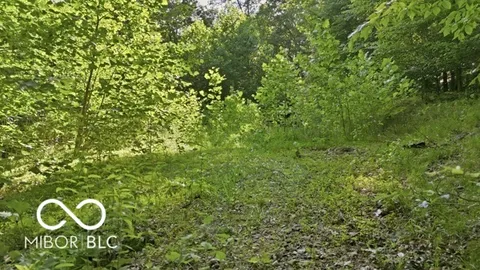 $225,000 | 7746 North Tunnel Road, Unionville, IN 47468