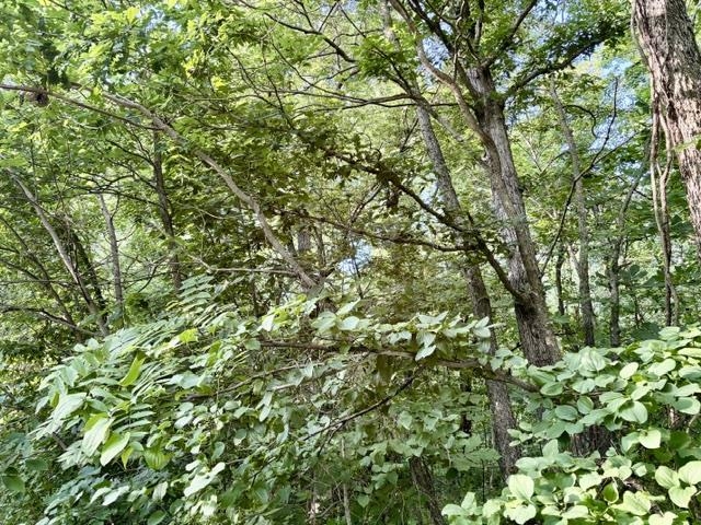 Lot 9 Mount Hope Brodhead, WI 53520 - Photo 11 of 14