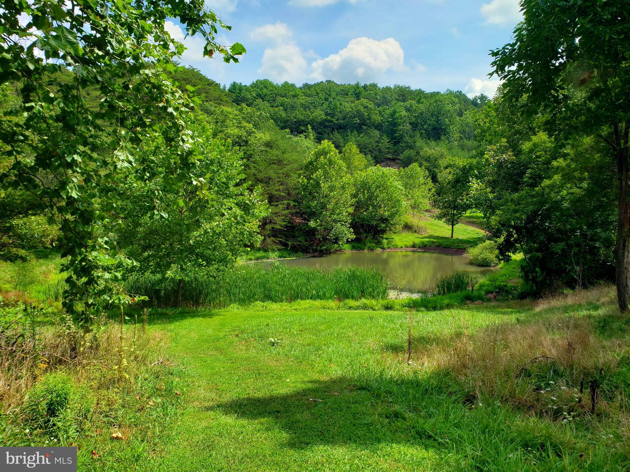 641 Howards Chapel Road Winchester, VA 22603 - Photo 4 of 11 FISHING POND