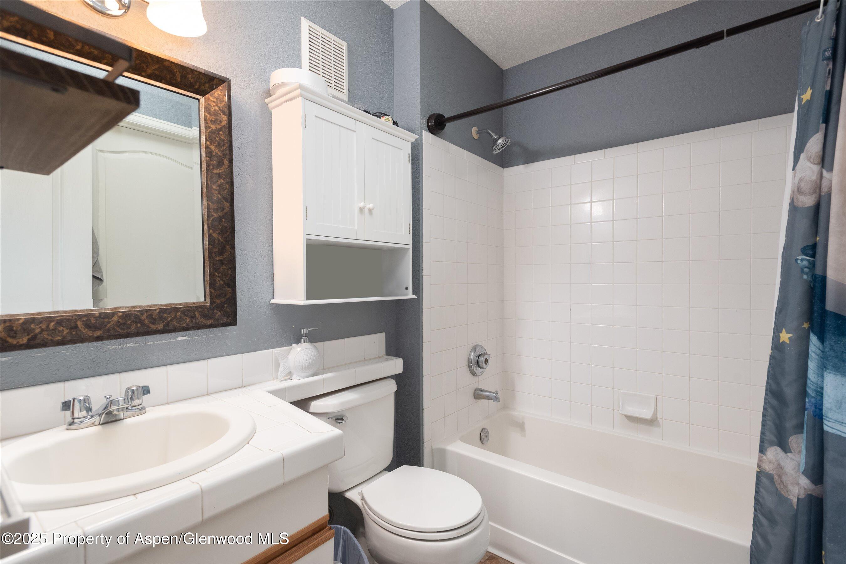 7203 Elk Lane Basalt, CO 81621 - Photo 11 of 14 12-7203ElkLn_250911009_1