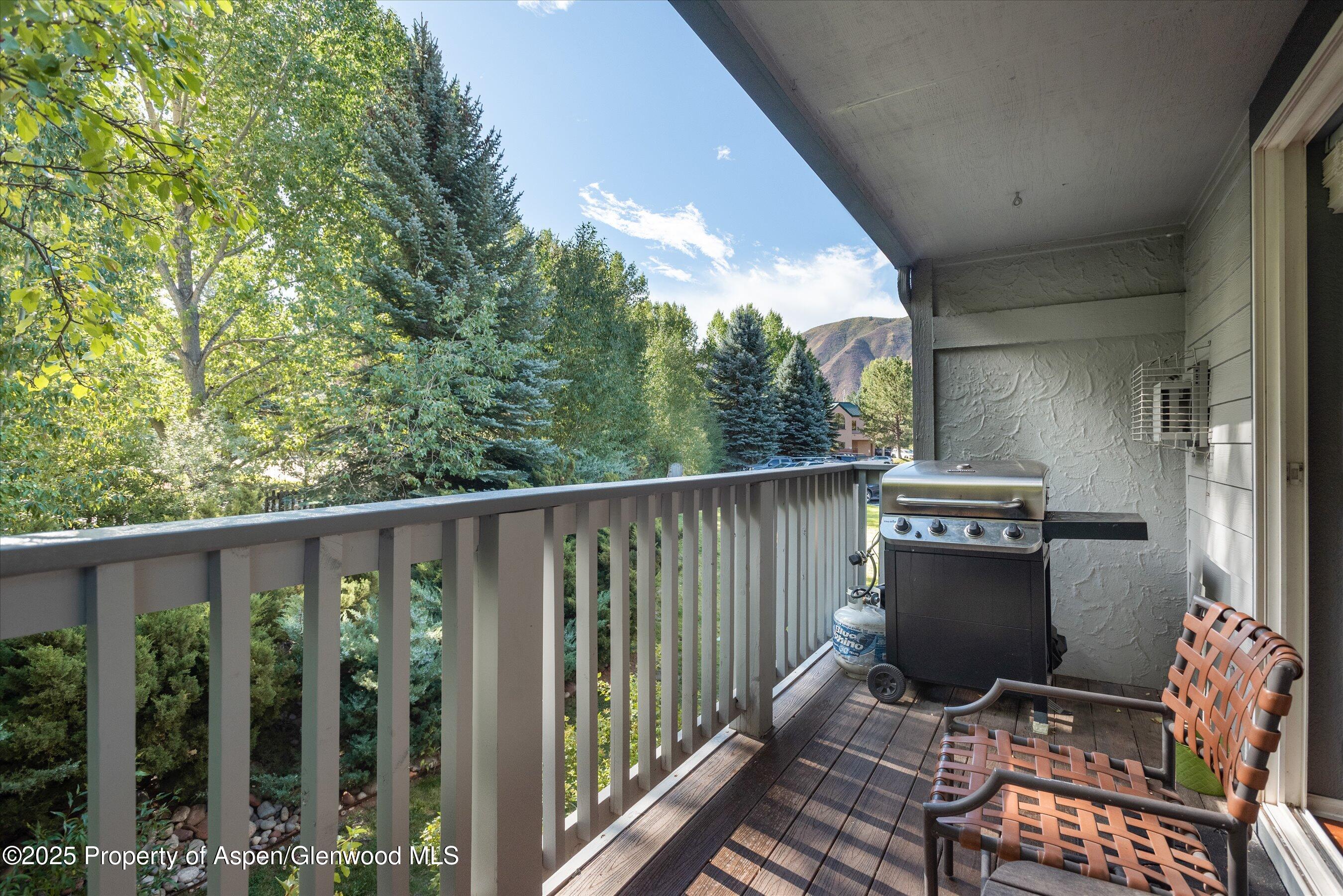 7203 Elk Lane Basalt, CO 81621 - Photo 12 of 14 02-7203ElkLn_250911004_1