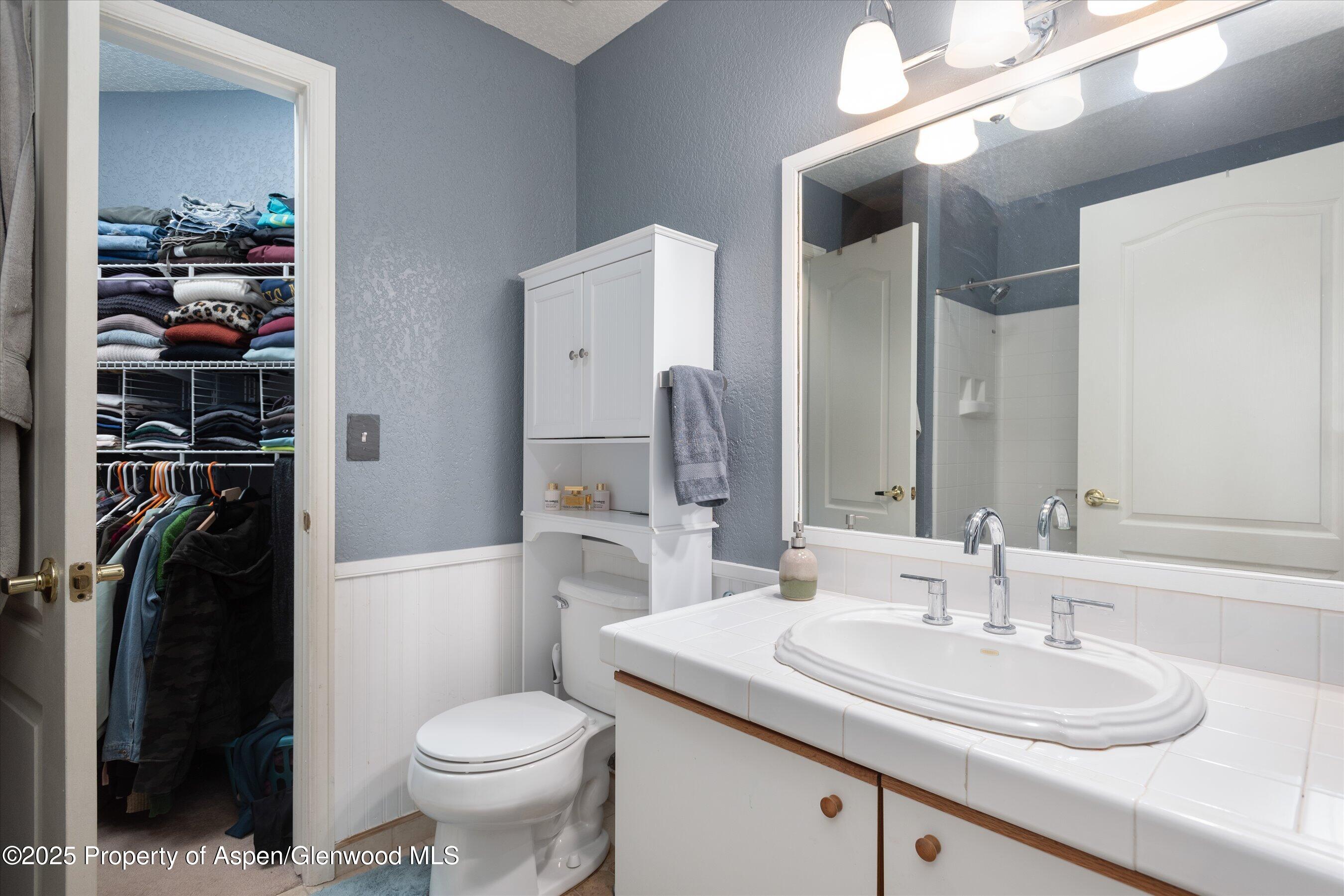 7203 Elk Lane Basalt, CO 81621 - Photo 7 of 14 08-7203ElkLn_250911002_1