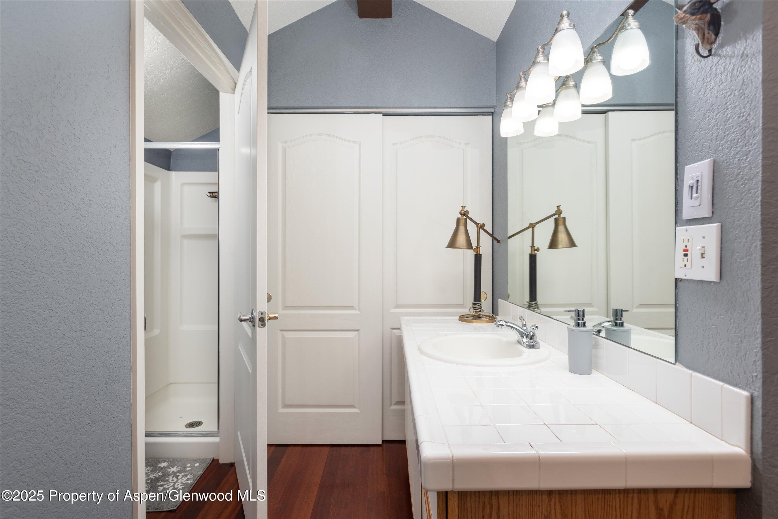 7203 Elk Lane Basalt, CO 81621 - Photo 9 of 14 10-7203ElkLn_250911014_1